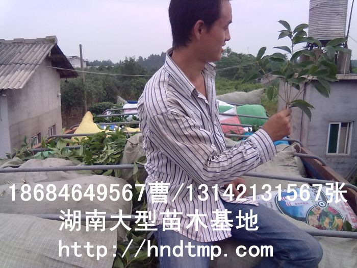 L(zhng)ɳľ L(zhng)ɳ𻨻 L(zhng)ɳ¹ Ϲ𻨻 L(zhng)ɳ𻨶 L(zhng)ɳ𻨃r(ji)