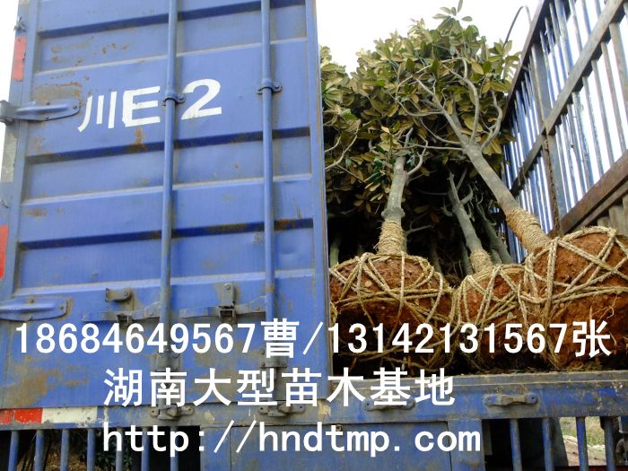 Vm/Vmr/Vmr/Vmr/Vm2012r/Vm2013r/