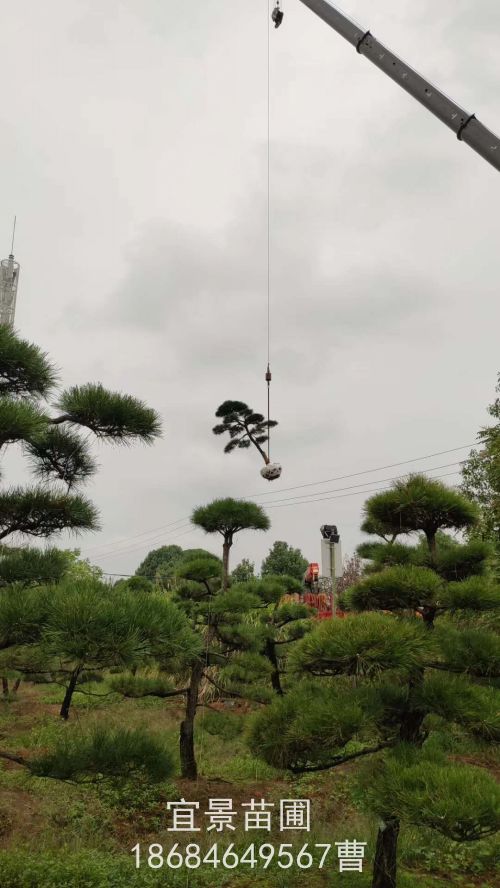 eߙnG䑪(yng)ԓxʲô䣿