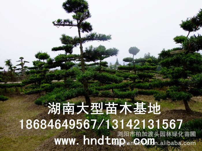 (yng)~_hɡ~_hԻءLɳg~_hɻء~_hľء~_hLɳء~_hɺϻء~_hɞgꖻء~_hɡ_hɷNӡ~_hɷNӃr(ji)񡤴ُ~_hɷNӡ(yng)~_hɷNӡ~_hɷNӃr(ji)~_hɷNӰl(f)ѿжߡ_hɷNôN_hɷNuϞgLɳ_hɷNֱN؃r(ji)_hɷNNۡԼժ_hɷNӡ_hɷNӰl(f)ѿô_hɷNӰl(f)ѿʡô_hɷNӡ_hɷNҪô桤_hɷNô_