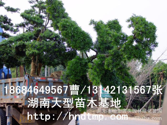 (yng)~_hɡ~_hԻءLɳg~_hɻء~_hľء~_hLɳء~_hɺϻء~_hɞgꖻء~_hɡ_hɷNӡ~_hɷNӃr(ji)񡤴ُ~_hɷNӡ(yng)~_hɷNӡ~_hɷNӃr(ji)~_hɷNӰl(f)ѿжߡ_hɷNôN_hɷNuϞgLɳ_hɷNֱN؃r(ji)_hɷNNۡԼժ_hɷNӡ_hɷNӰl(f)ѿô_hɷNӰl(f)ѿʡô_hɷNӡ_hɷNҪô桤_hɷNô_h