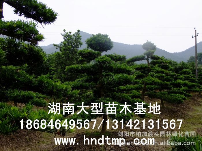 (yng)~_hɡ~_hԻءLɳg~_hɻء~_hľء~_hLɳء~_hɺϻء~_hɞgꖻء~_hɡ_hɷNӡ~_hɷNӃr(ji)񡤴ُ~_hɷNӡ(yng)~_hɷNӡ~_hɷNӃr(ji)~_hɷNӰl(f)ѿжߡ_hɷNôN_hɷNuϞgLɳ_hɷNֱN؃r(ji)_hɷNNۡԼժ_hɷNӡ_hɷNӰl(f)ѿô_hɷNӰl(f)ѿʡô_hɷNӡ_hɷNҪô桤_hɷNô_