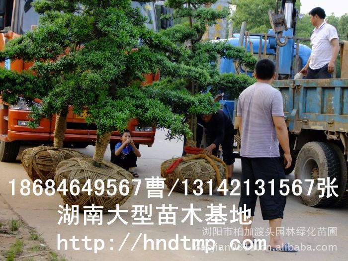 (yng)~_hɡ~_hԻءLɳg~_hɻء~_hľء~_hLɳء~_hɺϻء~_hɞgꖻء~_hɡ_hɷNӡ~_hɷNӃr(ji)񡤴ُ~_hɷNӡ(yng)~_hɷNӡ~_hɷNӃr(ji)~_hɷNӰl(f)ѿжߡ_hɷNôN_hɷNuϞgLɳ_hɷNֱN؃r(ji)_hɷNNۡԼժ_hɷNӡ_hɷNӰl(f)ѿô_hɷNӰl(f)ѿʡô_hɷNӡ_hɷNҪô桤_hɷNô_h