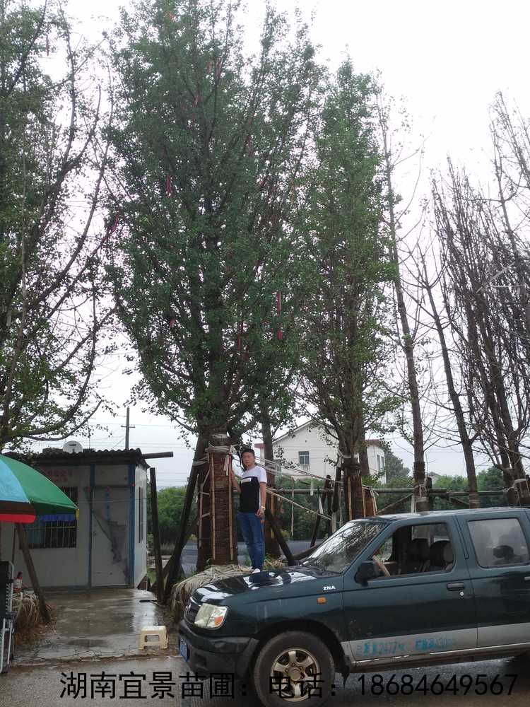 IMG_20180701_104315R.jpg IMG_20180701_104315R.jpg