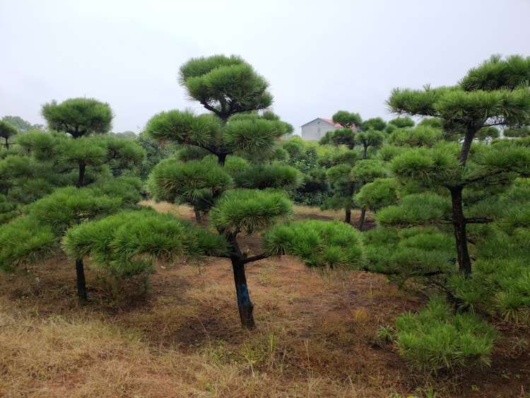 IMG_20181015_143911R.jpg IMG_20181015_143911R.jpg